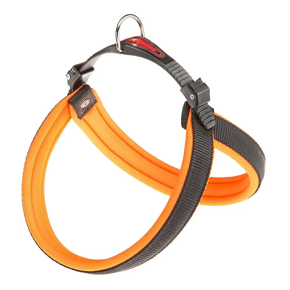 Agila fluo 5 pettorina arancio