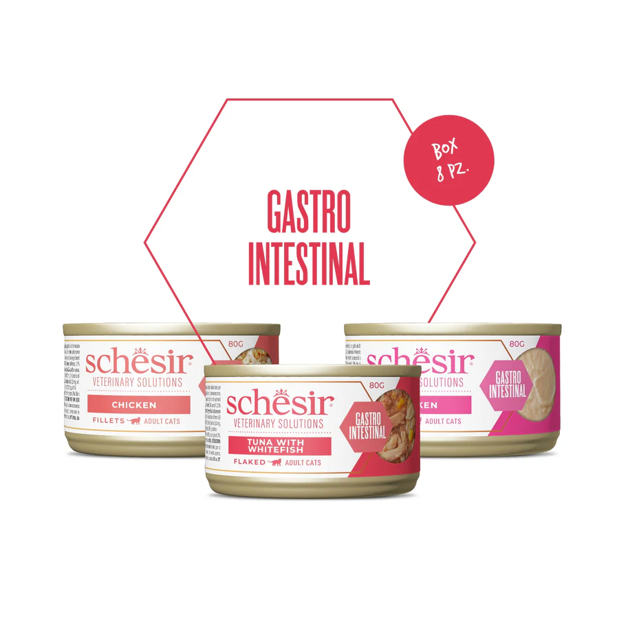 Schesir gatto gastrointestinal trial pack 80 gr