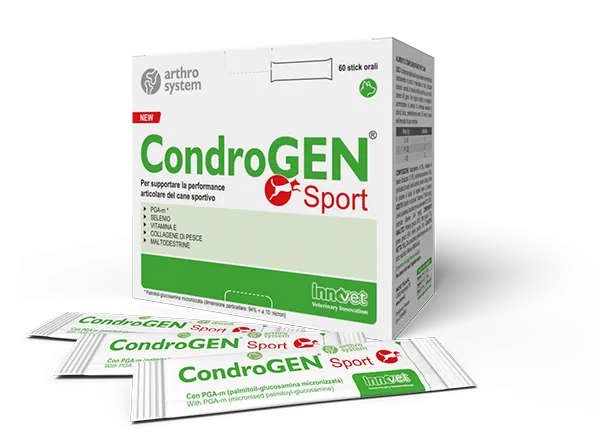 Condrogen sport 60 stick