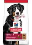 Hills cane adult large agnello 14 kg