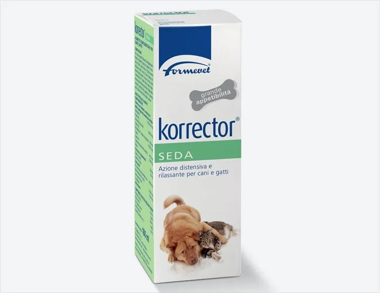 Korrector seda 160 ml