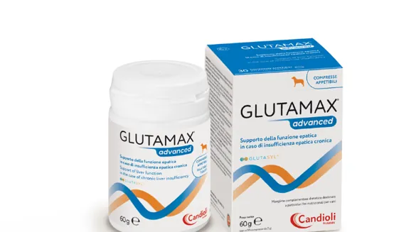Glutamax advanced barattolo 30 cpr
