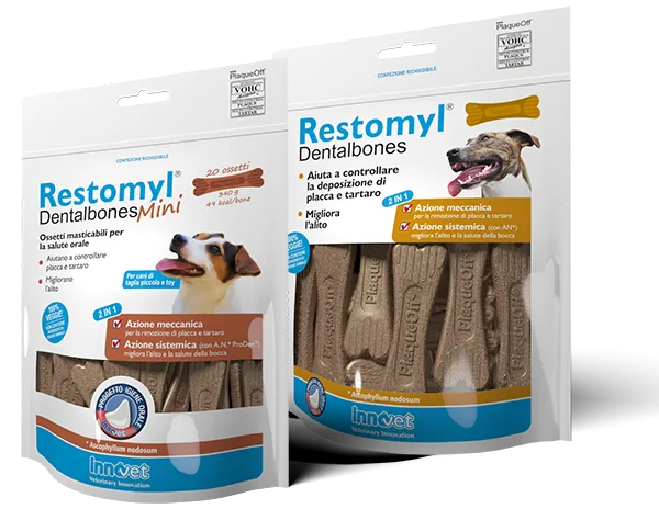 Restomyl dentalbones veg regular 482 gr