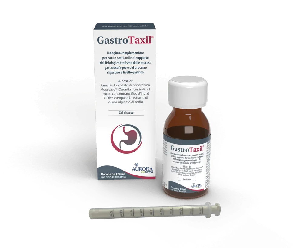 Gastrotaxil 120 ml