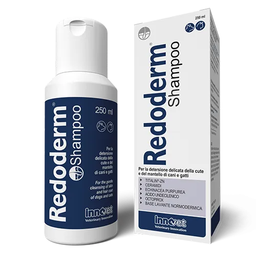 Redoderm shampoo 250 ml