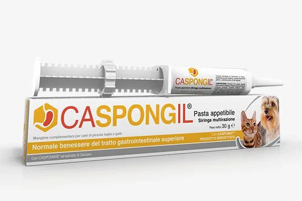 Caspongil pasta 30 gr