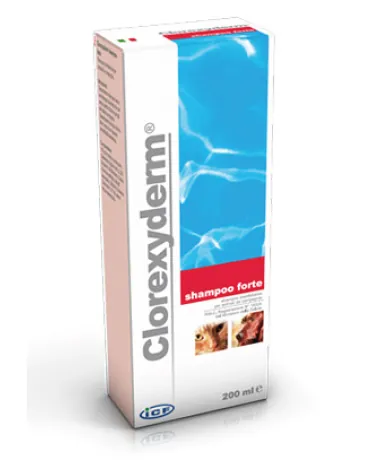 Clorexyderm shampoo forte 200 ml