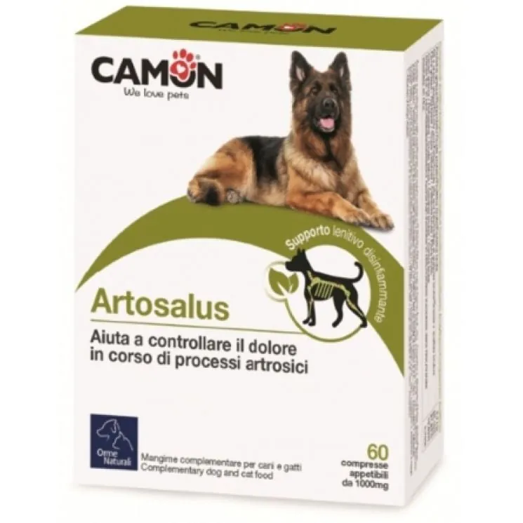 Artosalus 60 cpr
