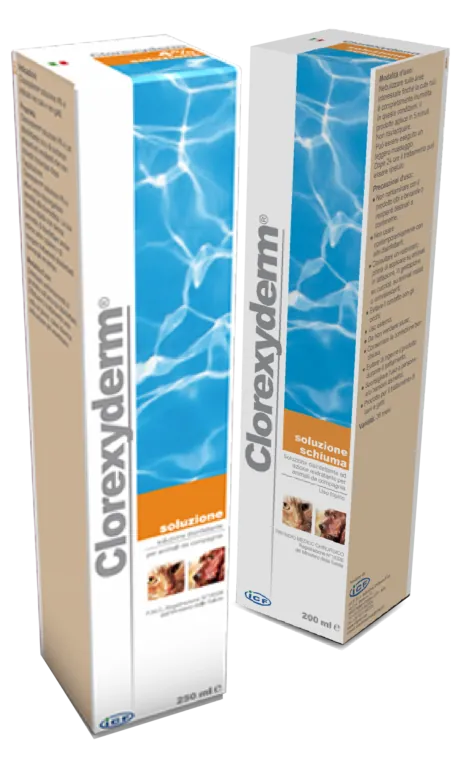 Clorexyderm soluzione schiuma 200 ml