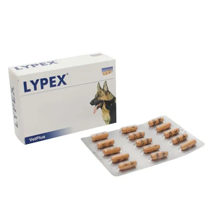 Lypex 60 cps