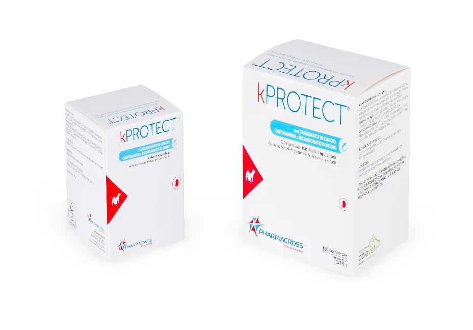 Kprotect 120 cpr masticabili