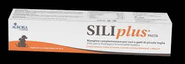 Siliplus pasta 30 gr