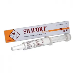 Silifort pasta 15 gr