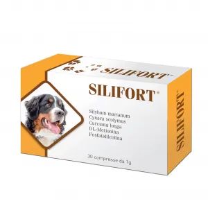 Silifort 30 cpr 1 gr