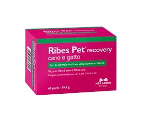 Ribes pet 60 perle recovery