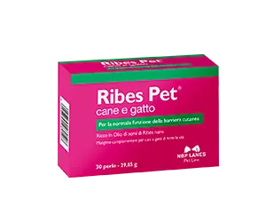 Ribes pet 30 perle