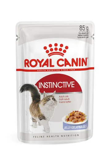 Royal cat instinctive jelly bustina 85 gr