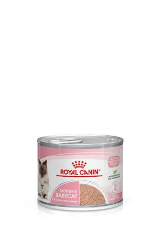 Royal cat babycat instinctive lattina 195 gr