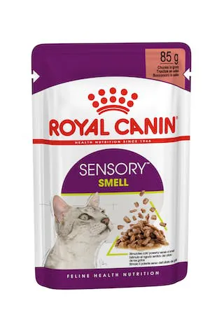 Royal cat sensory smell salsa bustina 85 gr