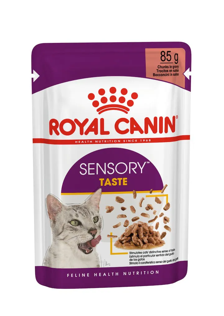 Royal cat sensory taste salsa bustina 85 gr