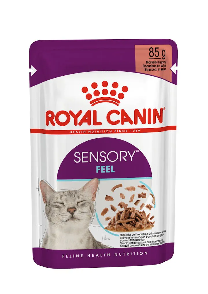 Royal cat sensory feel salsa bustina 85 gr