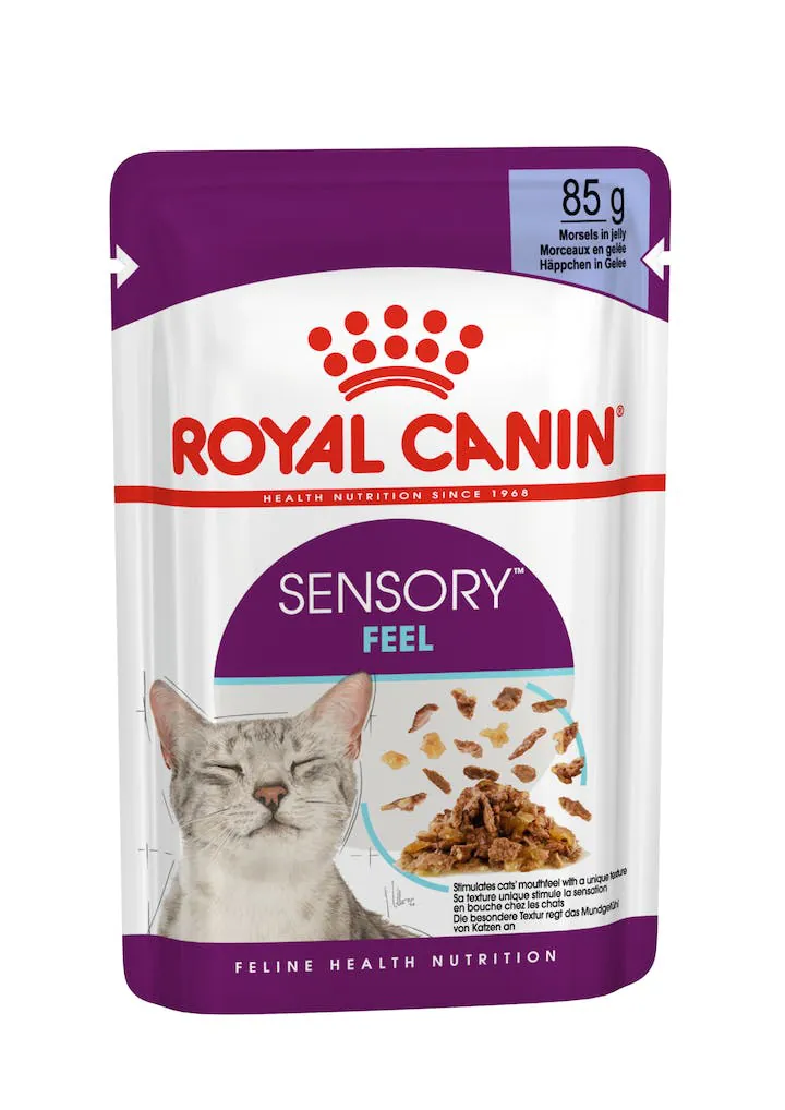 Royal cat sensory feel jelly bustina 85 gr