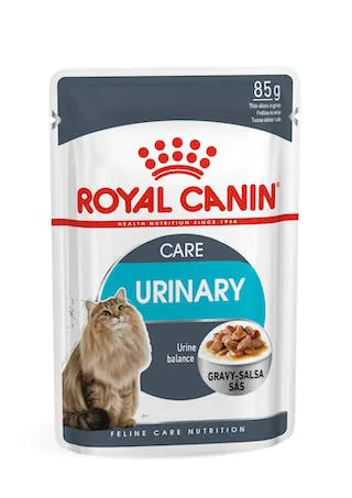 Royal cat urinary s/o pollo gravy bustina 85 gr