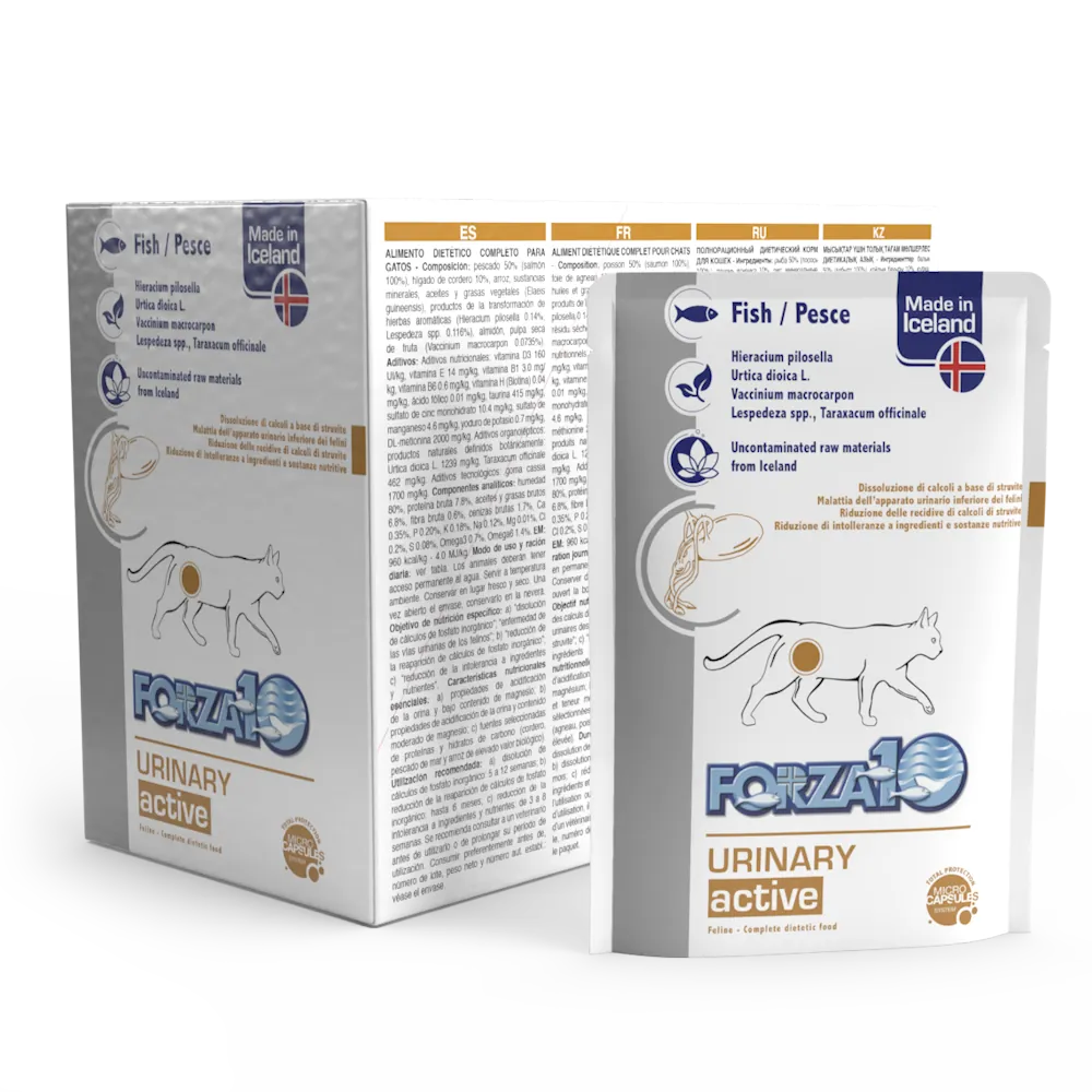 Forza 10 gatto urinary actiwet bustina 80 gr