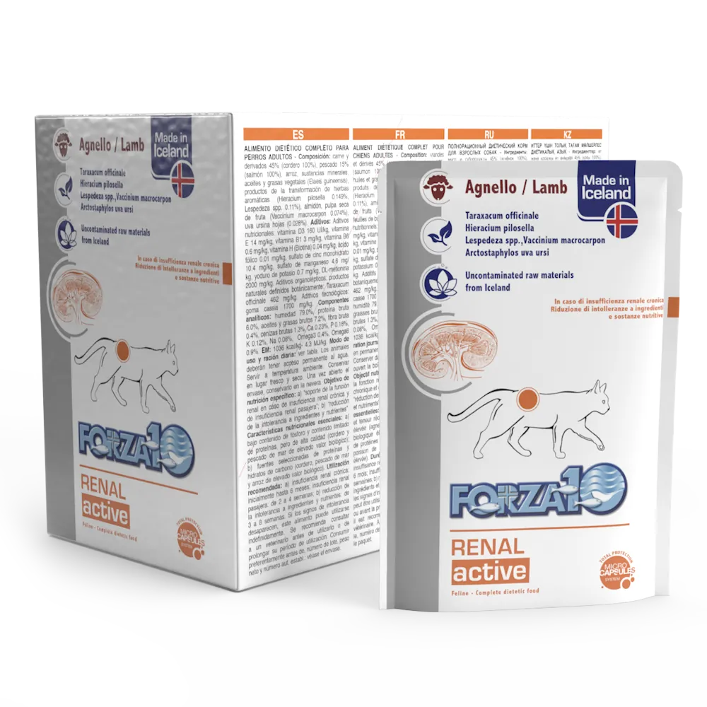 Forza 10 gatto renal actiwet bustina 80 gr