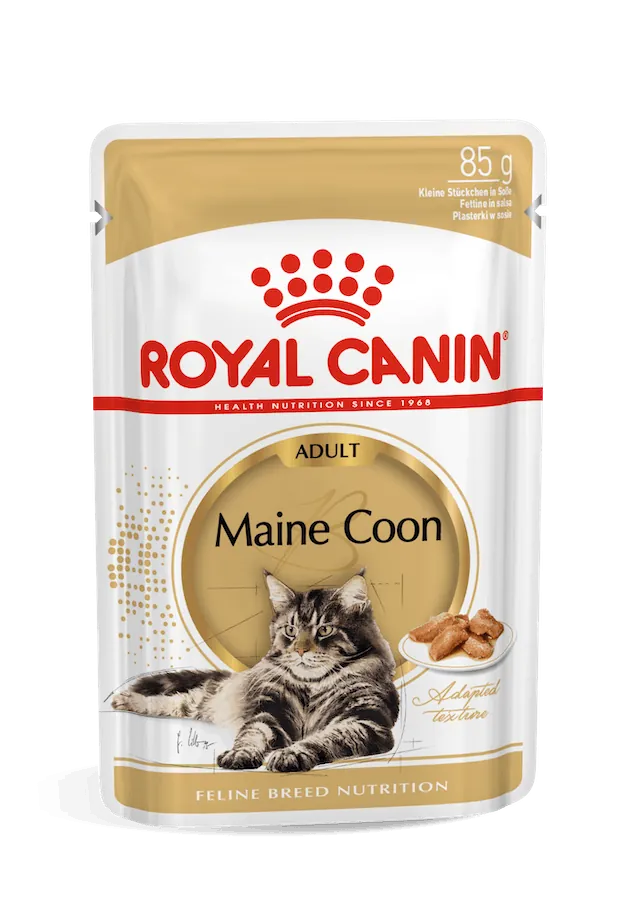 Royal cat maine coon 400 gr