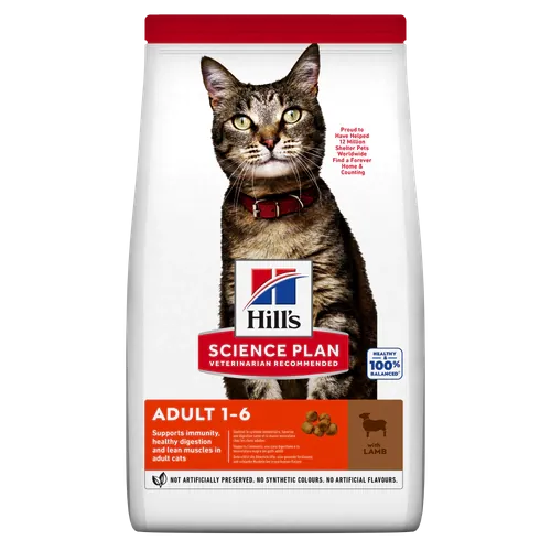 Hills gatto adult agnello 300 gr