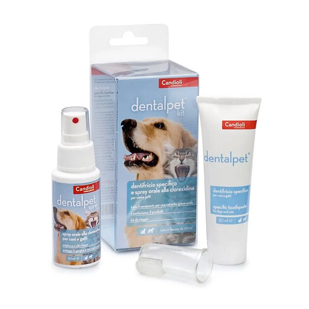 Dental pet kit