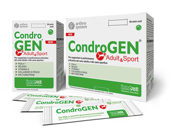 Condrogen  Adult e Sport 60 Stick Orali