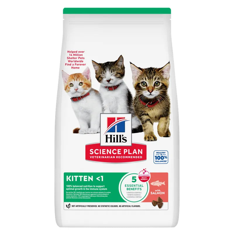 Hills Gatto Kitten Salmone 1,5 Kg
