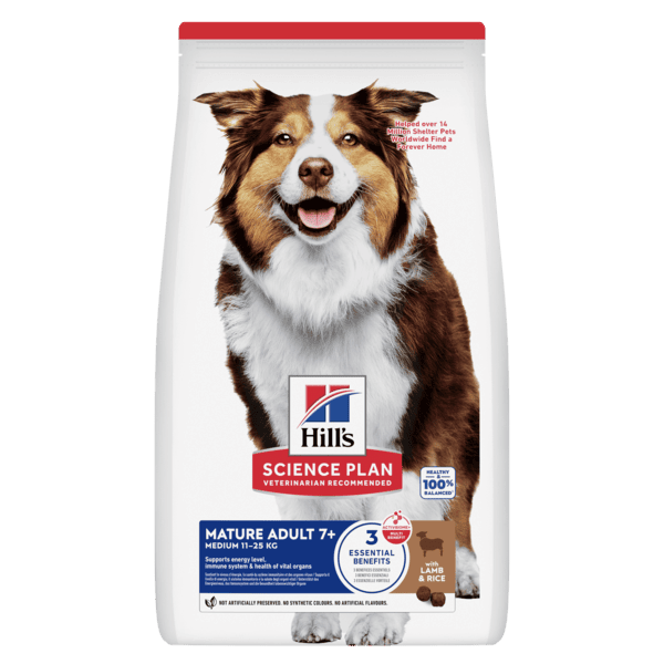 Hills Mature Agnello Medio Cane 14 Kg