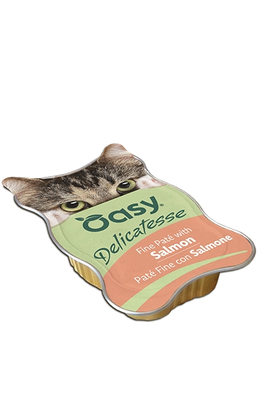 Oasy Delicatesse Patè Salmone Gatto Vaschetta 85 Gr 18x