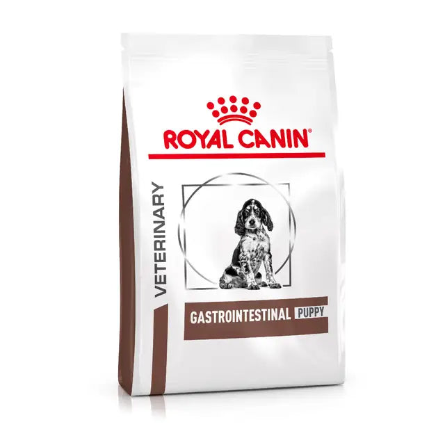 Royal Canin Cane Puppy Gastrointestinal 1 Kg