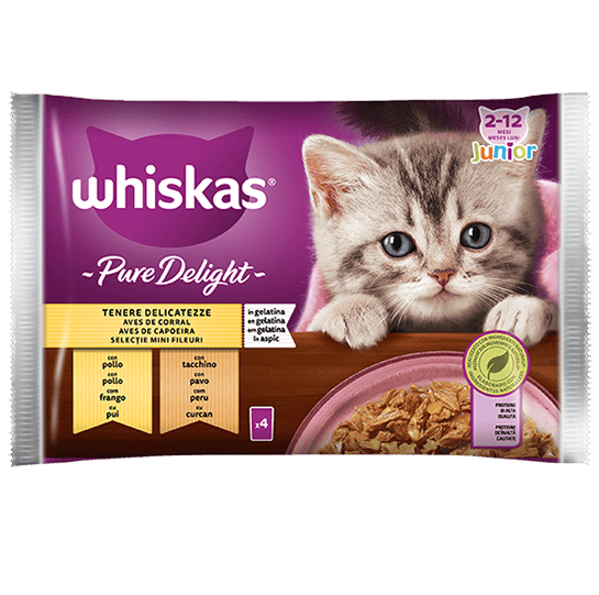 Whiskas Pure Delicato Junior 4 X 85 Gr 13x